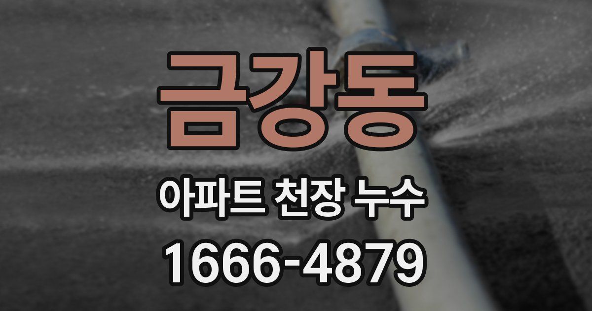 금강동 아파트 천장 누수