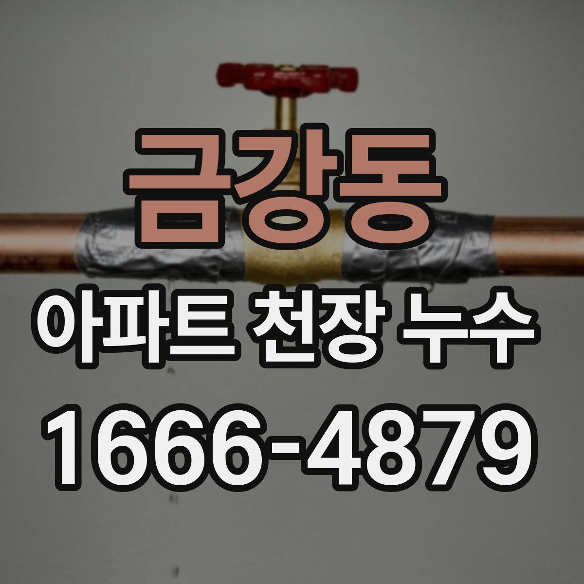 금강동 아파트 천장 누수