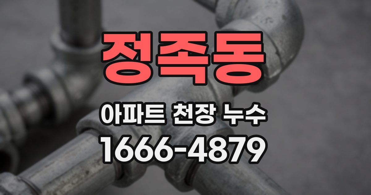 정족동 아파트 천장 누수