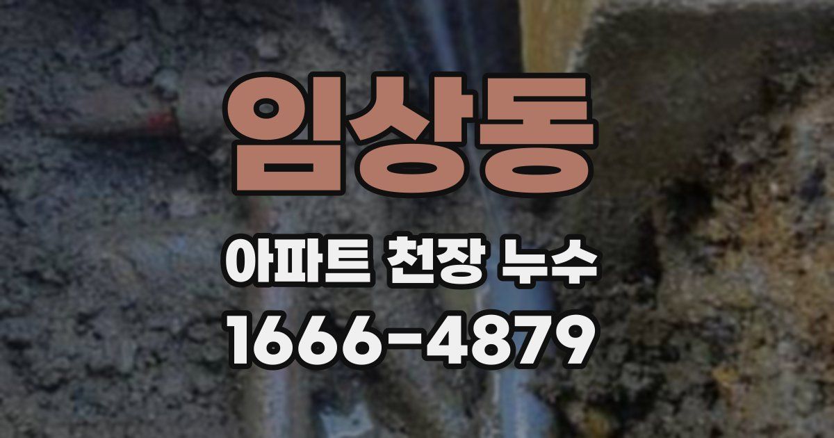 임상동 아파트 천장 누수