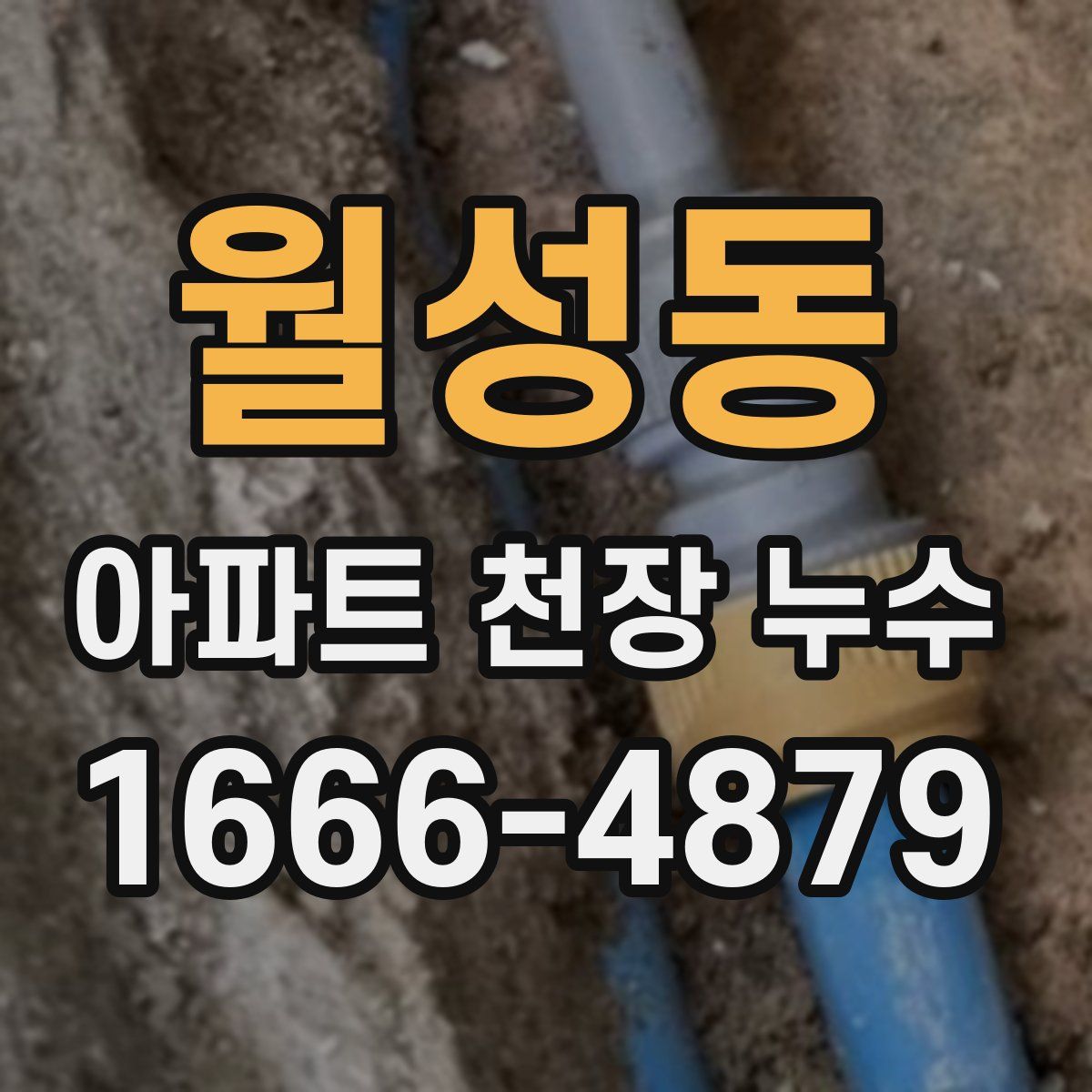 월성동 아파트 천장 누수