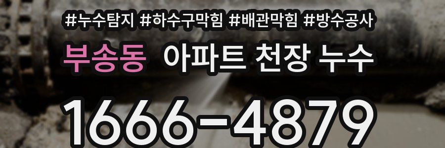 부송동 아파트 천장 누수