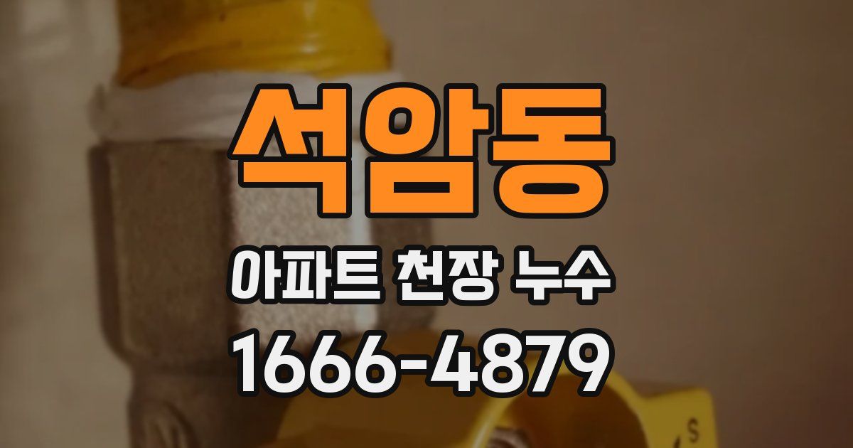 석암동 아파트 천장 누수
