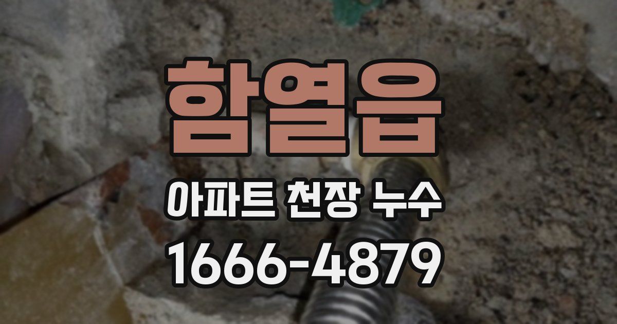 함열읍 아파트 천장 누수