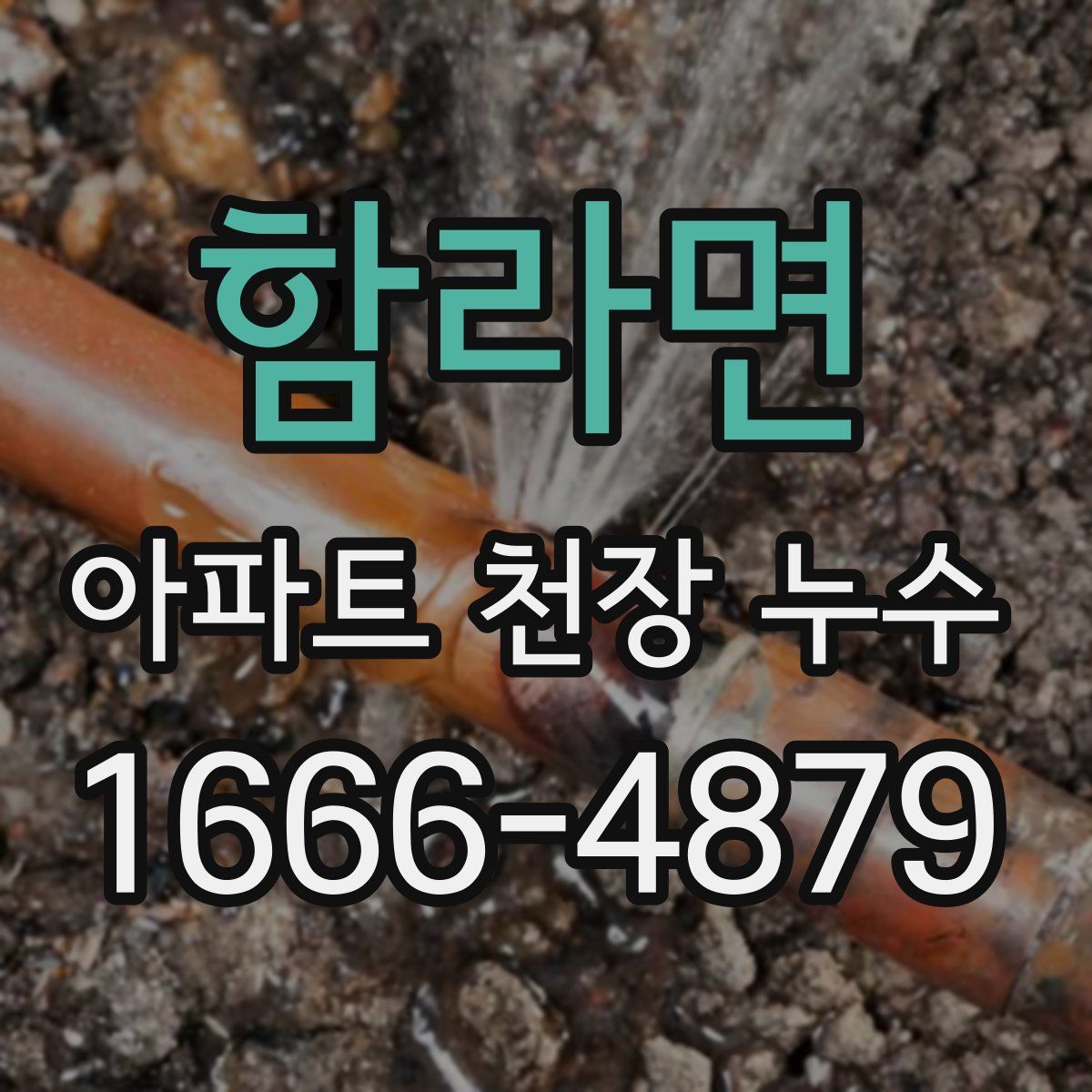 함라면 아파트 천장 누수