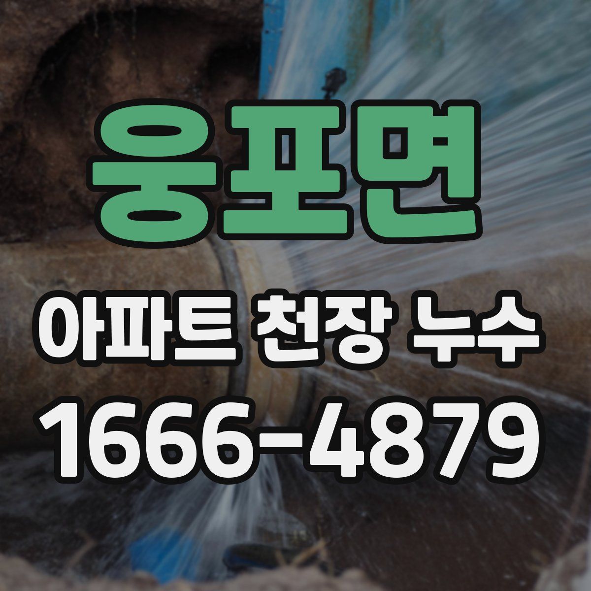 웅포면 아파트 천장 누수