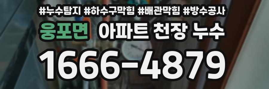 웅포면 아파트 천장 누수