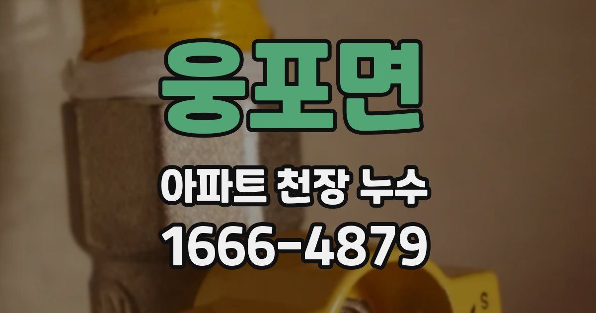 웅포면 아파트 천장 누수