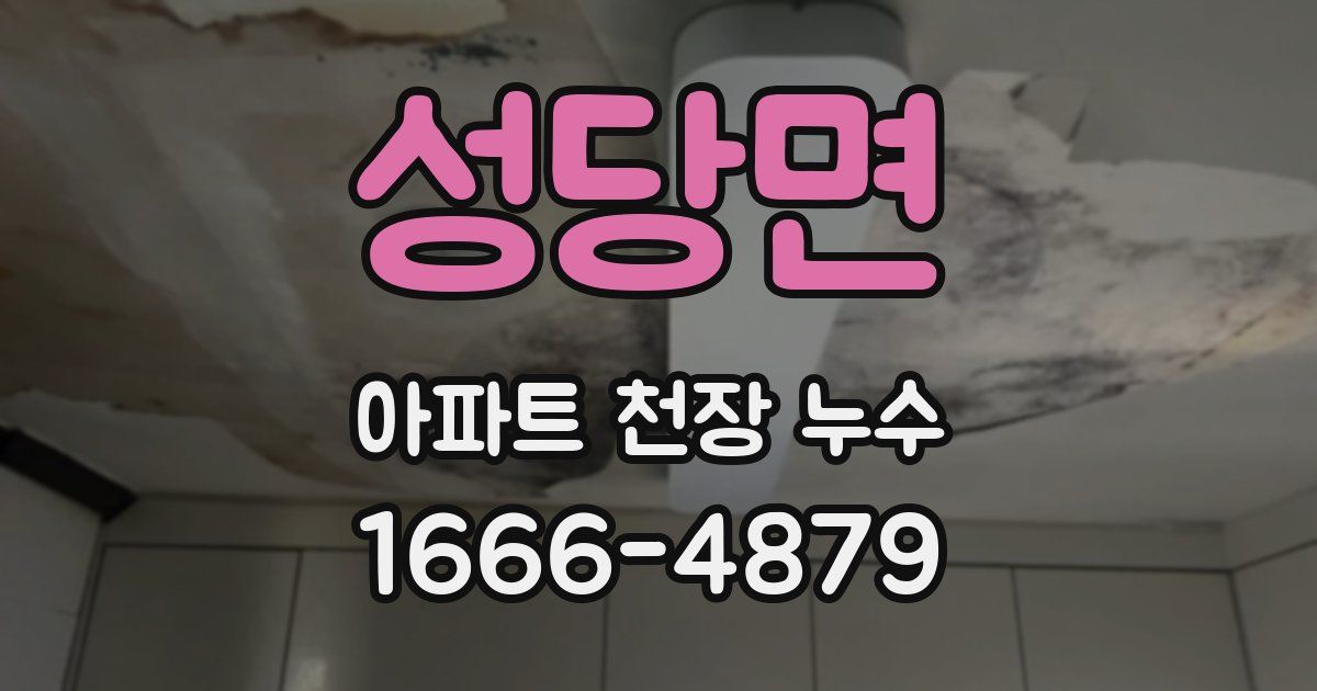 성당면 아파트 천장 누수