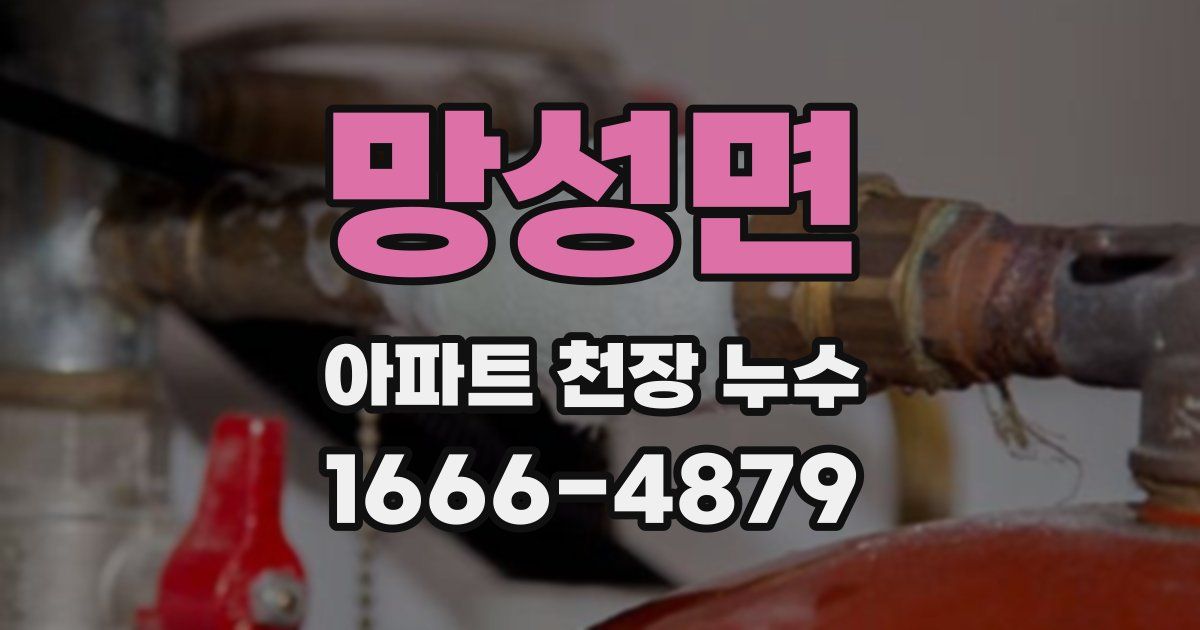 망성면 아파트 천장 누수