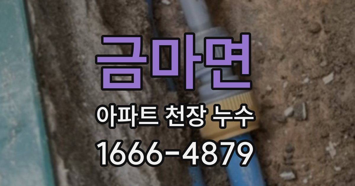 금마면 아파트 천장 누수