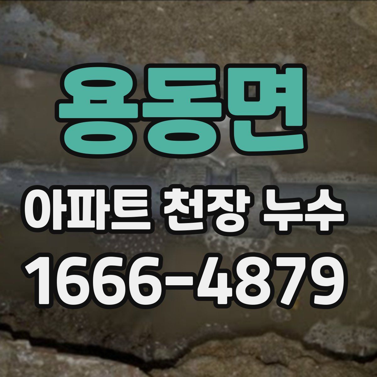 용동면 아파트 천장 누수