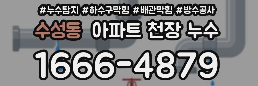 수성동 아파트 천장 누수