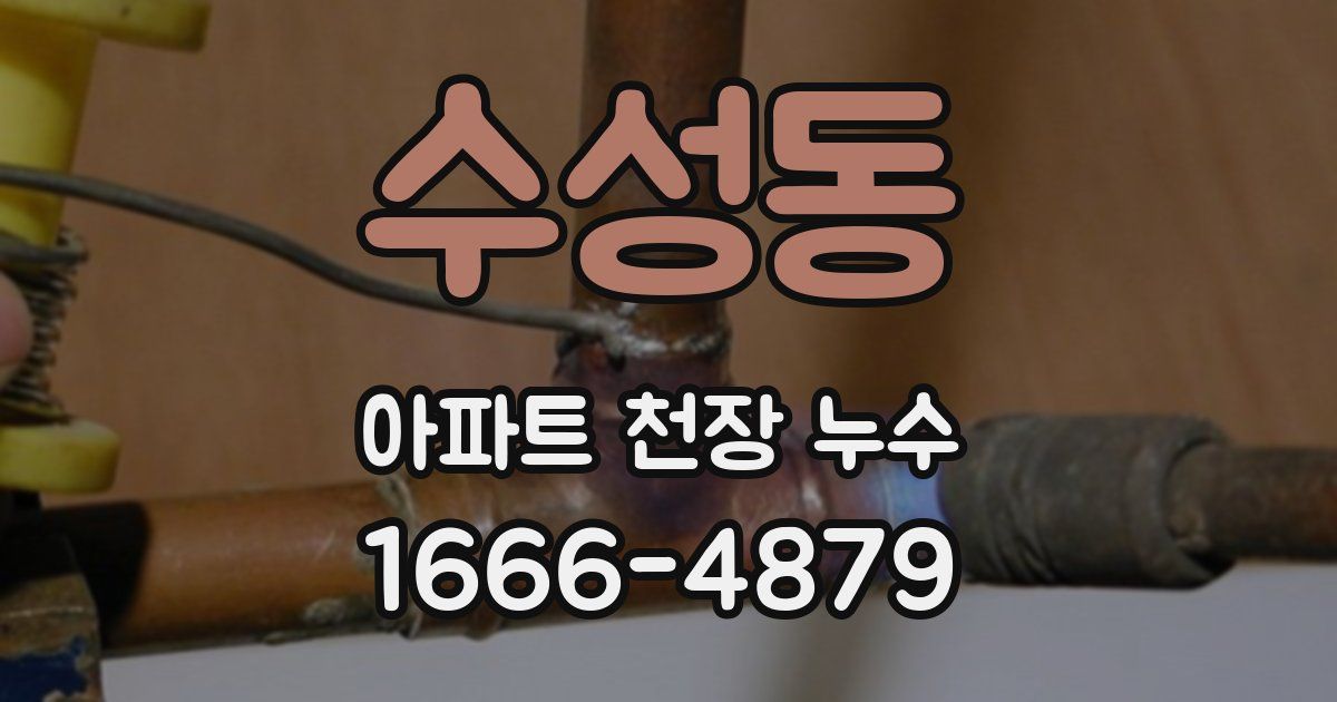 수성동 아파트 천장 누수