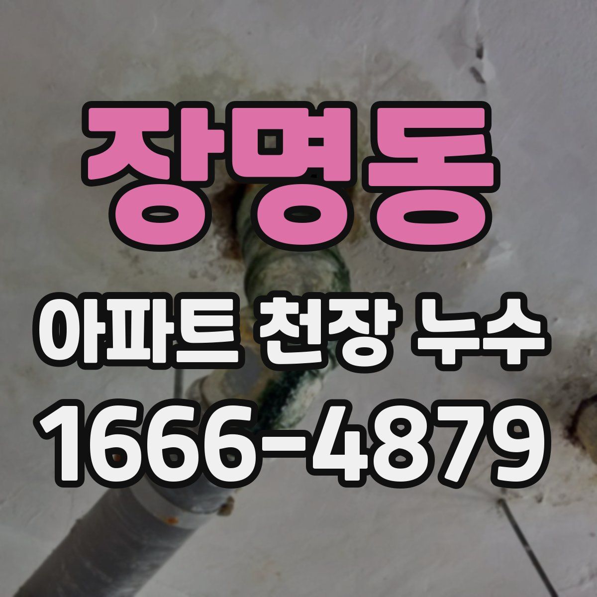 장명동 아파트 천장 누수
