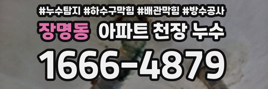 장명동 아파트 천장 누수