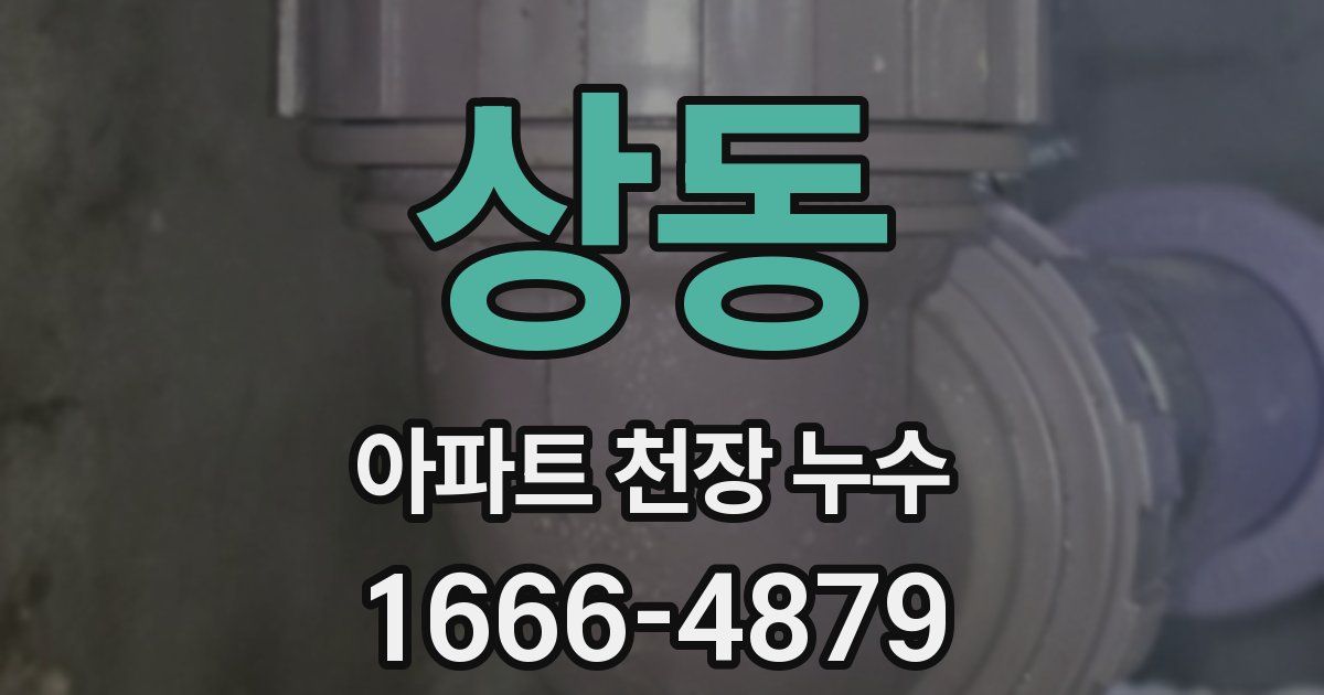 상동 아파트 천장 누수