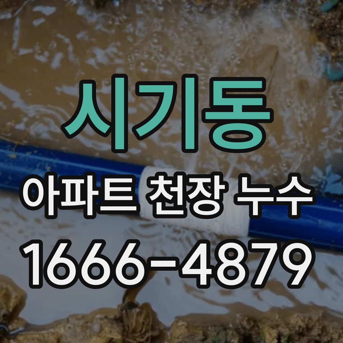 시기동 아파트 천장 누수