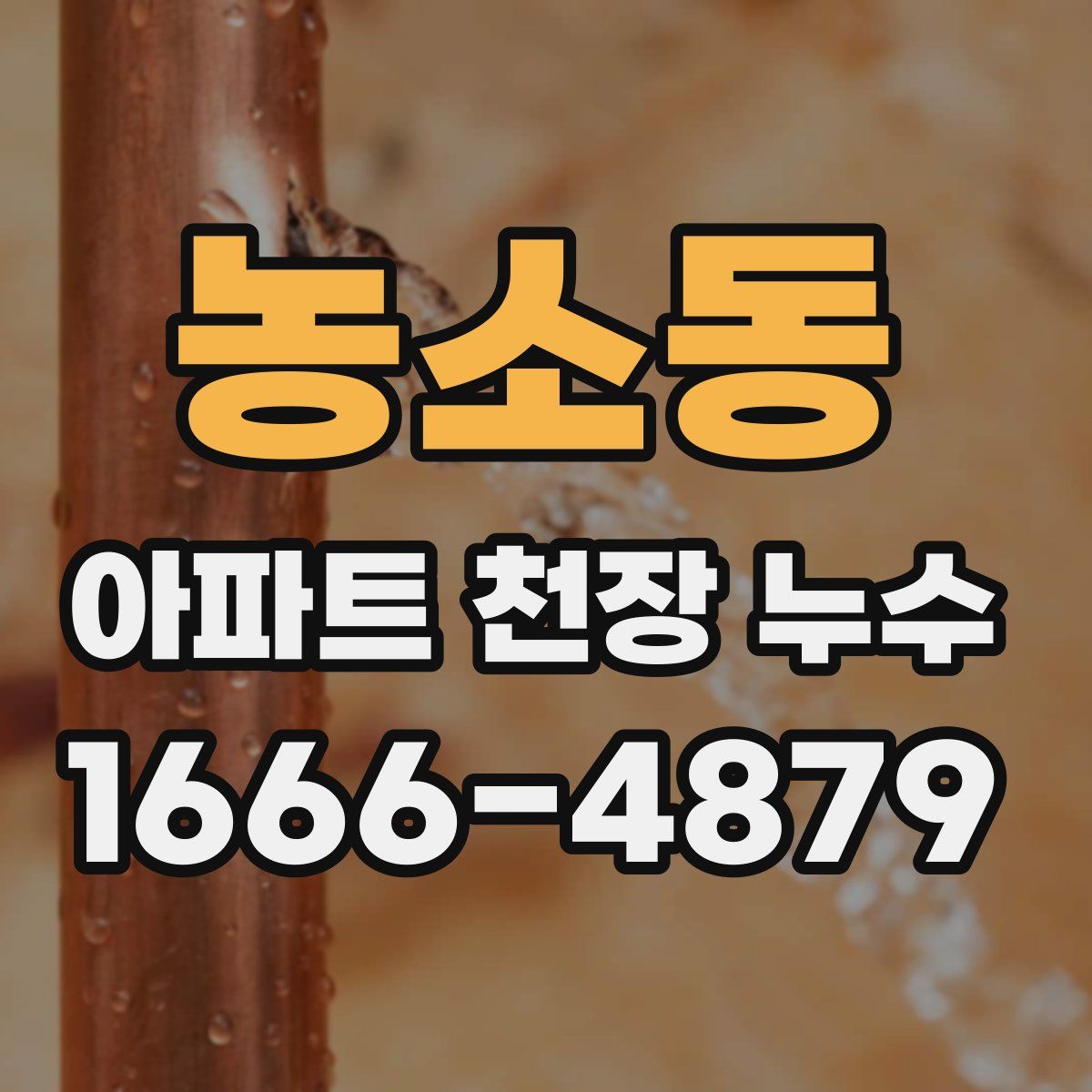 농소동 아파트 천장 누수