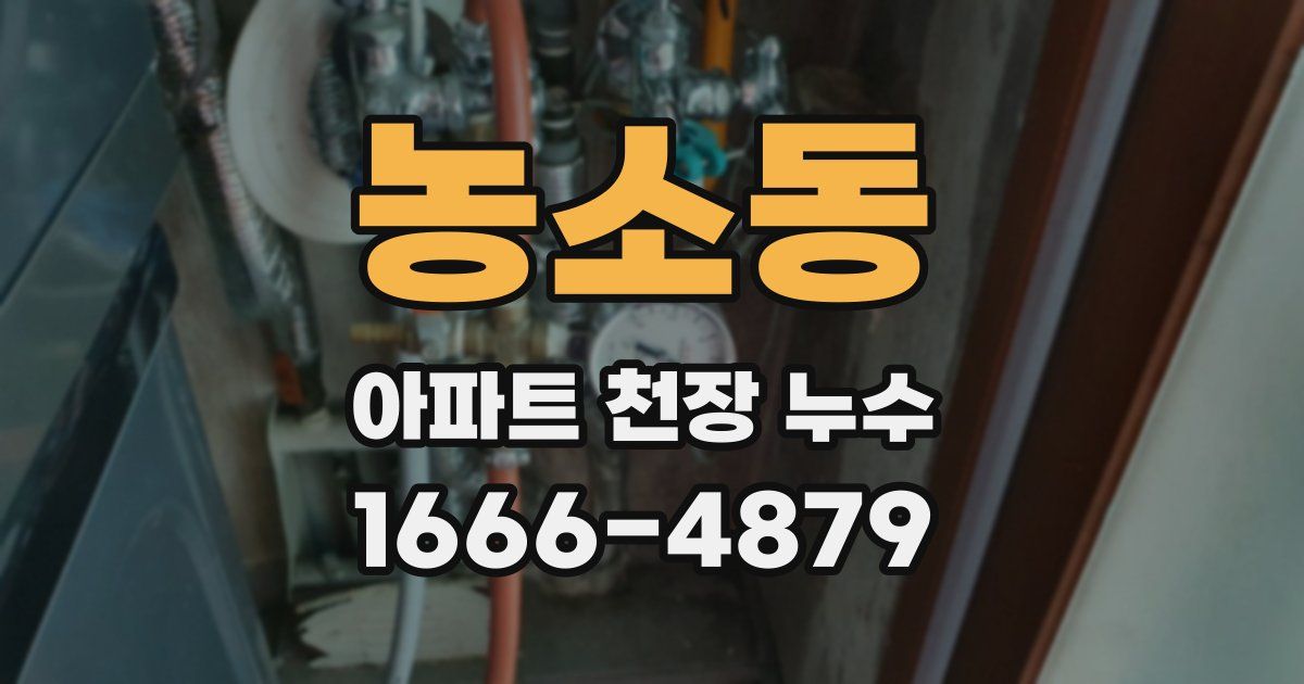 농소동 아파트 천장 누수