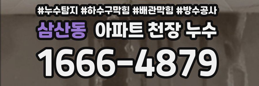 삼산동 아파트 천장 누수