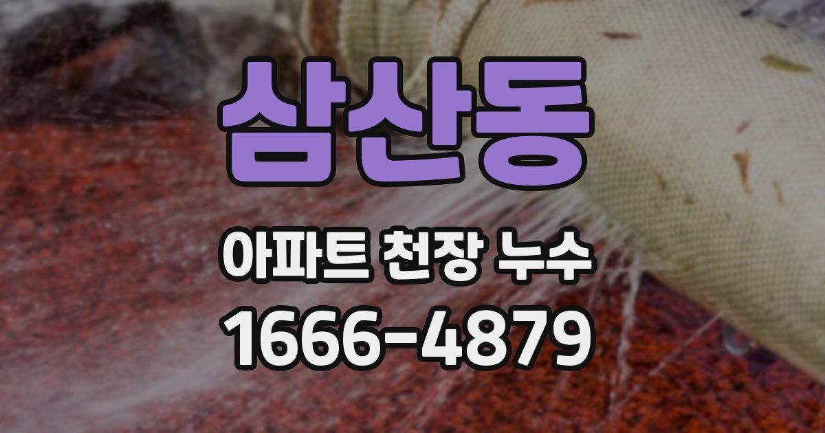 삼산동 아파트 천장 누수