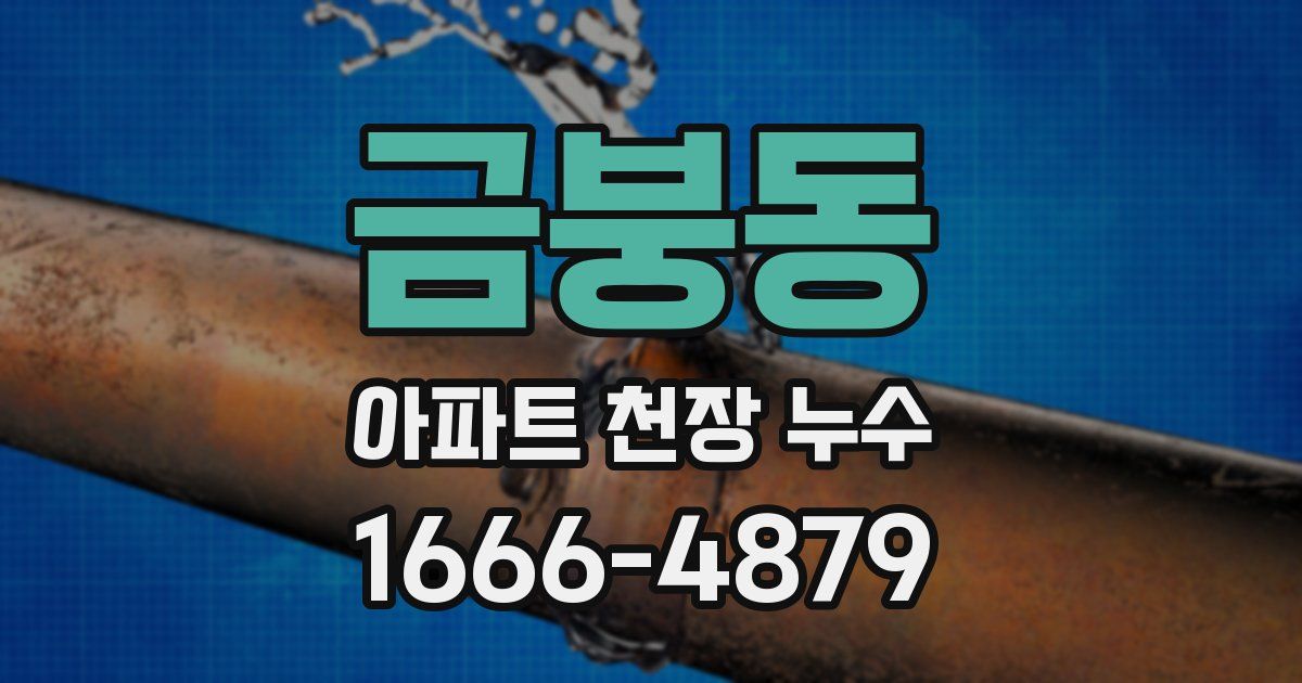 금붕동 아파트 천장 누수