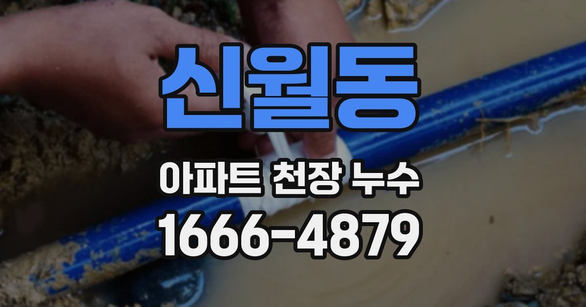 신월동 아파트 천장 누수