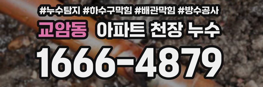 교암동 아파트 천장 누수