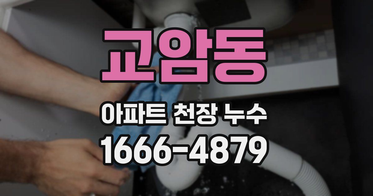 교암동 아파트 천장 누수