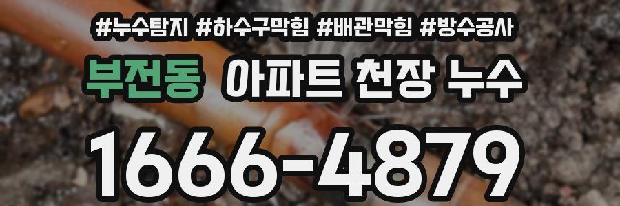 부전동 아파트 천장 누수