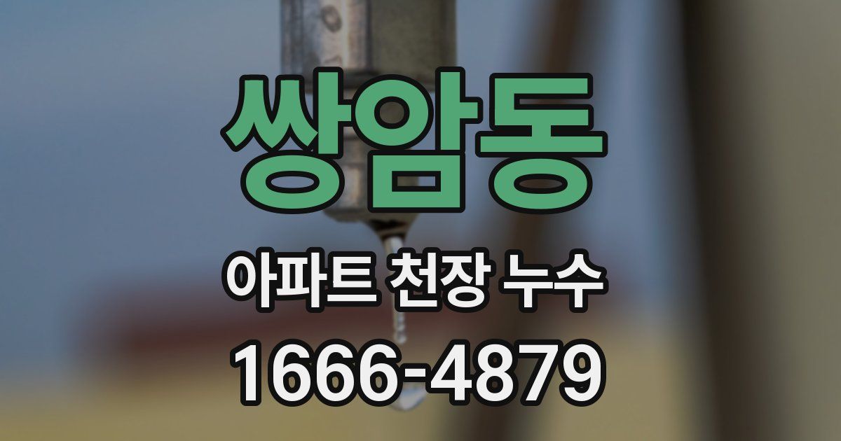 쌍암동 아파트 천장 누수