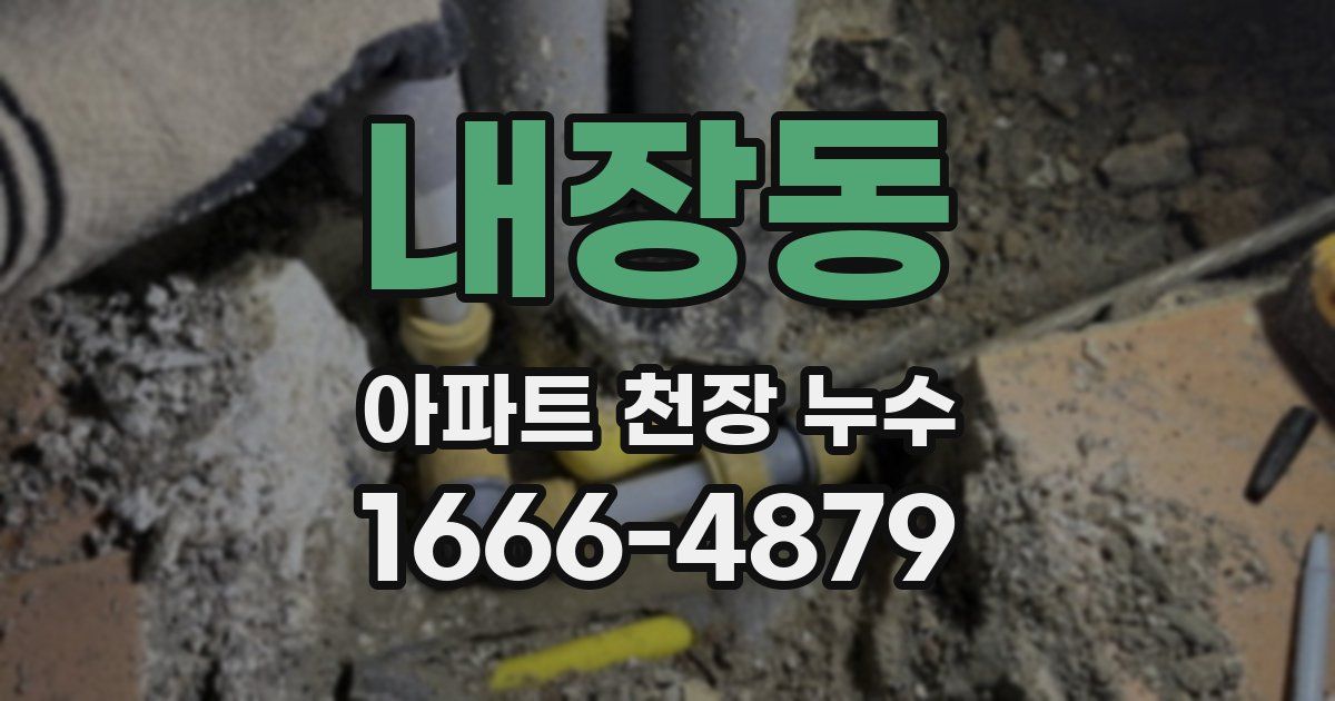 내장동 아파트 천장 누수