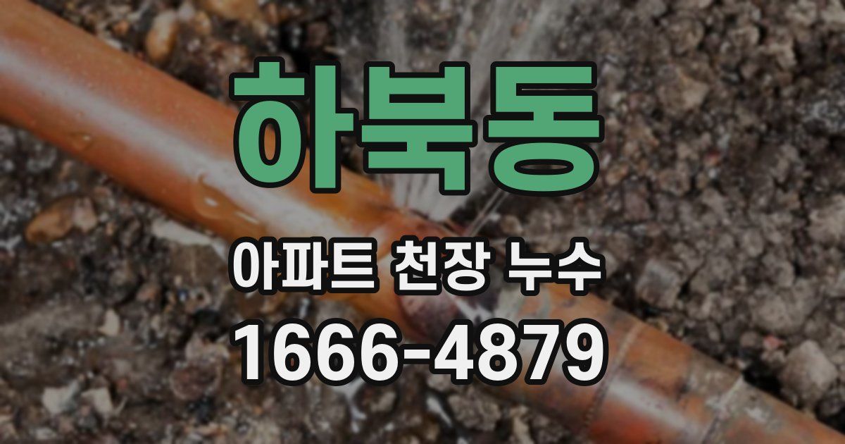 하북동 아파트 천장 누수