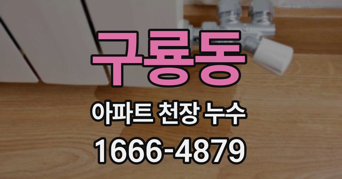 구룡동 아파트 천장 누수