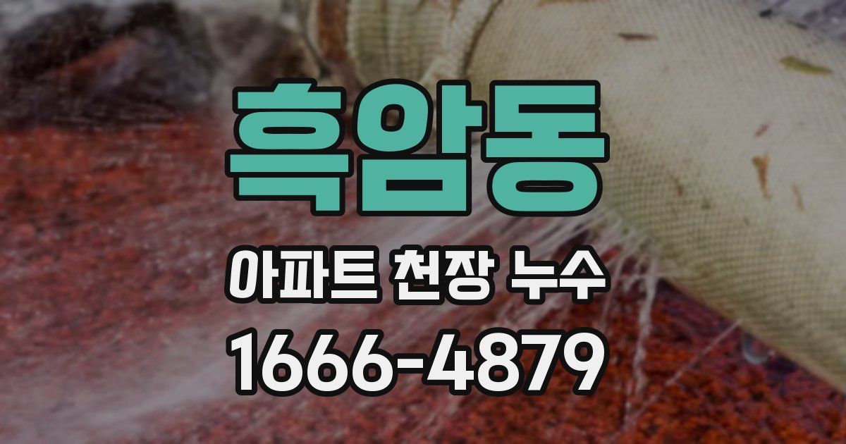 흑암동 아파트 천장 누수