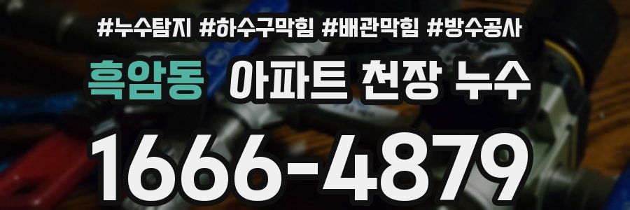 흑암동 아파트 천장 누수