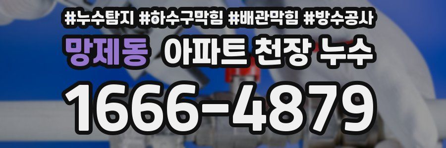 망제동 아파트 천장 누수