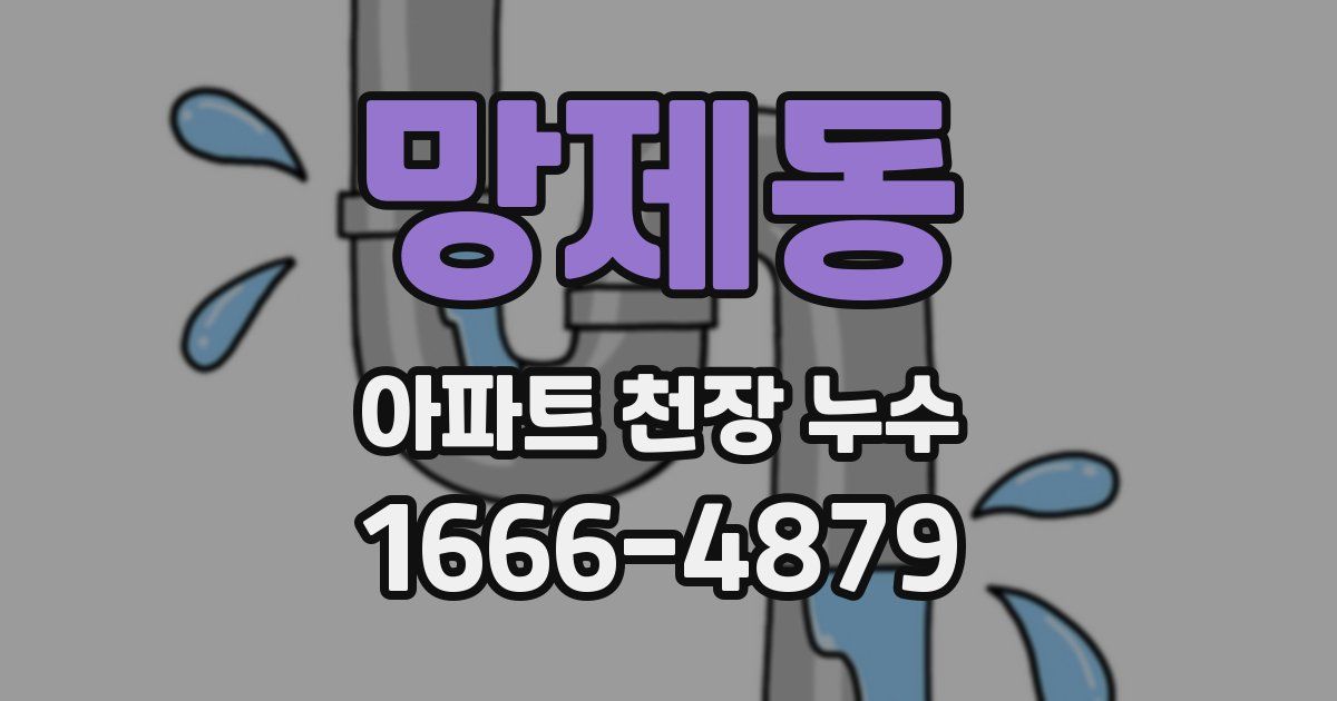 망제동 아파트 천장 누수