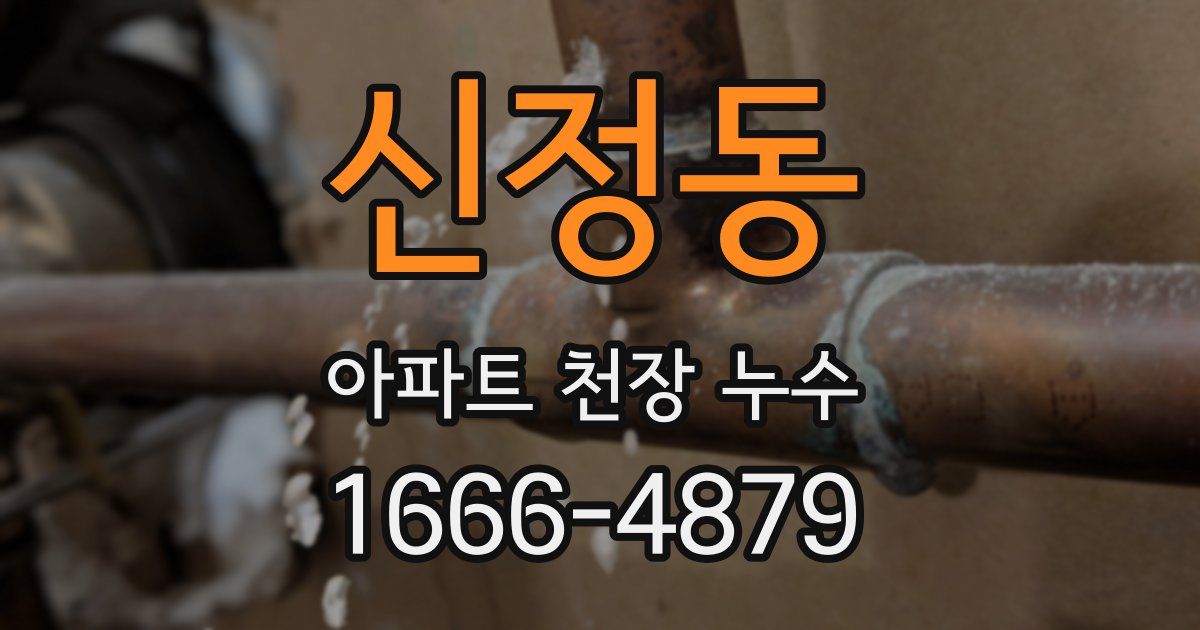 신정동 아파트 천장 누수
