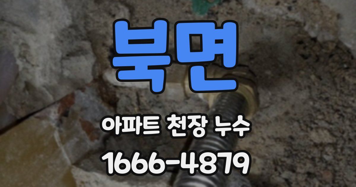 북면 아파트 천장 누수