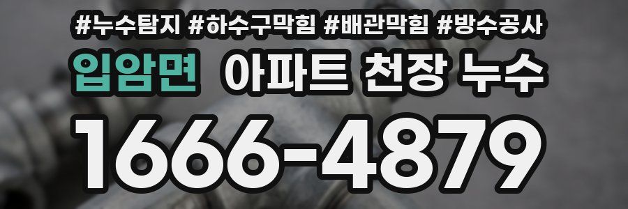 입암면 아파트 천장 누수