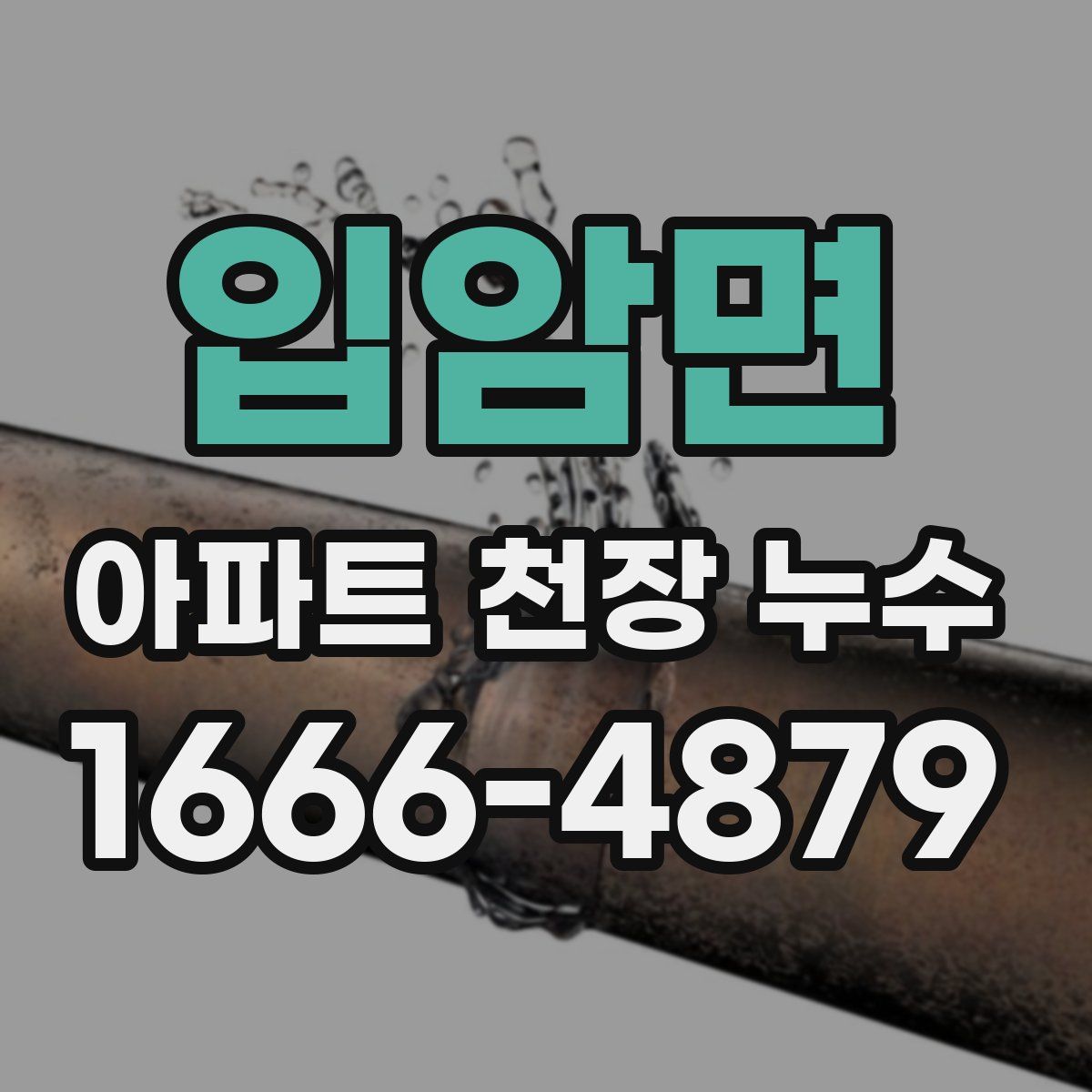 입암면 아파트 천장 누수