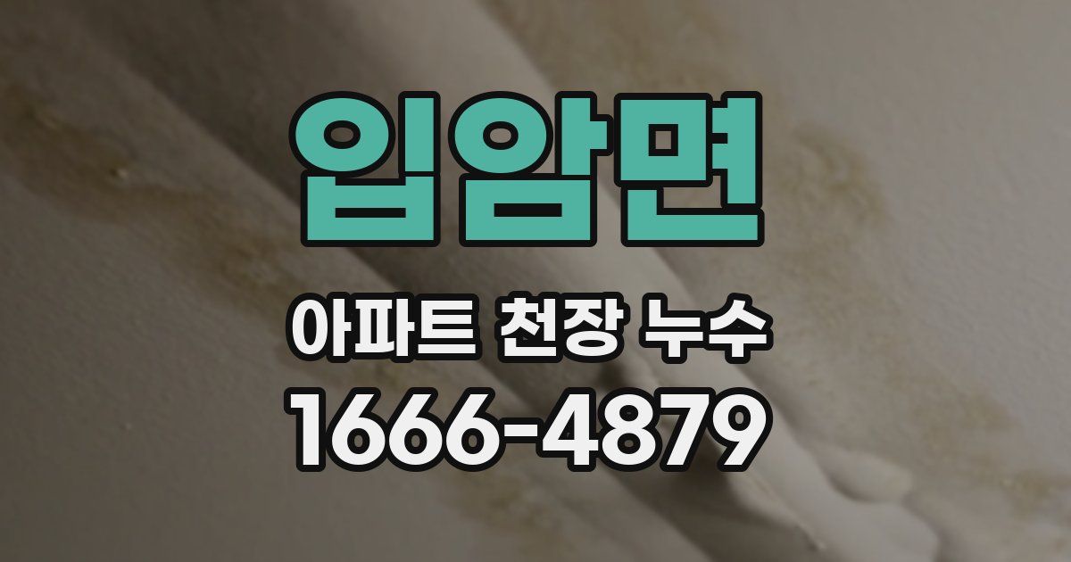 입암면 아파트 천장 누수