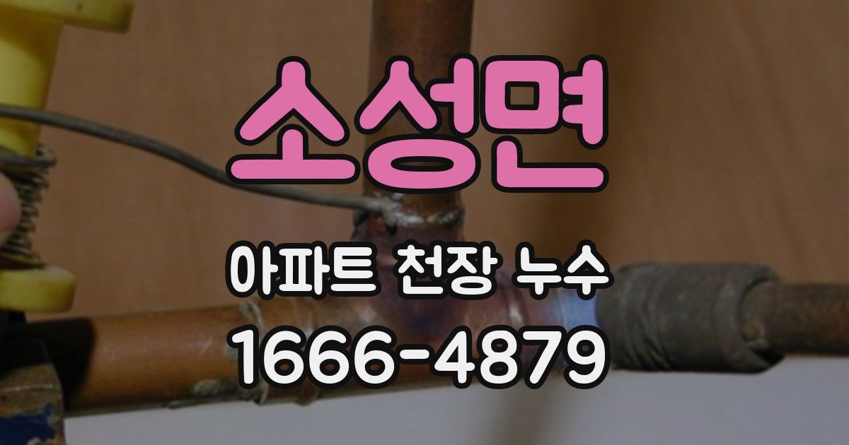 소성면 아파트 천장 누수