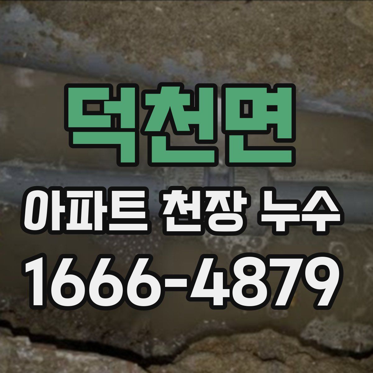덕천면 아파트 천장 누수