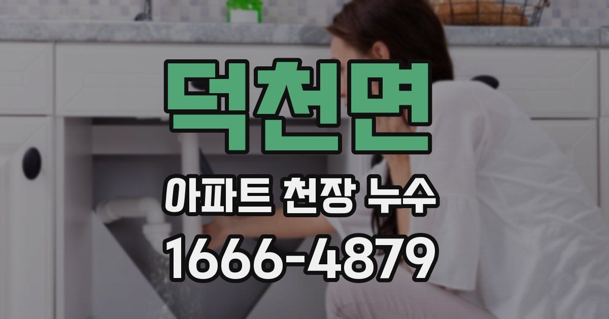 덕천면 아파트 천장 누수