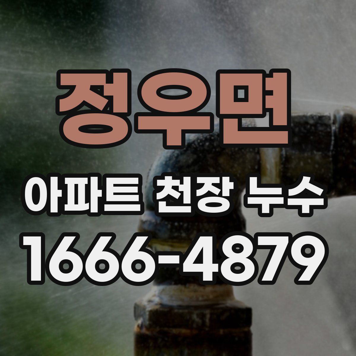 정우면 아파트 천장 누수