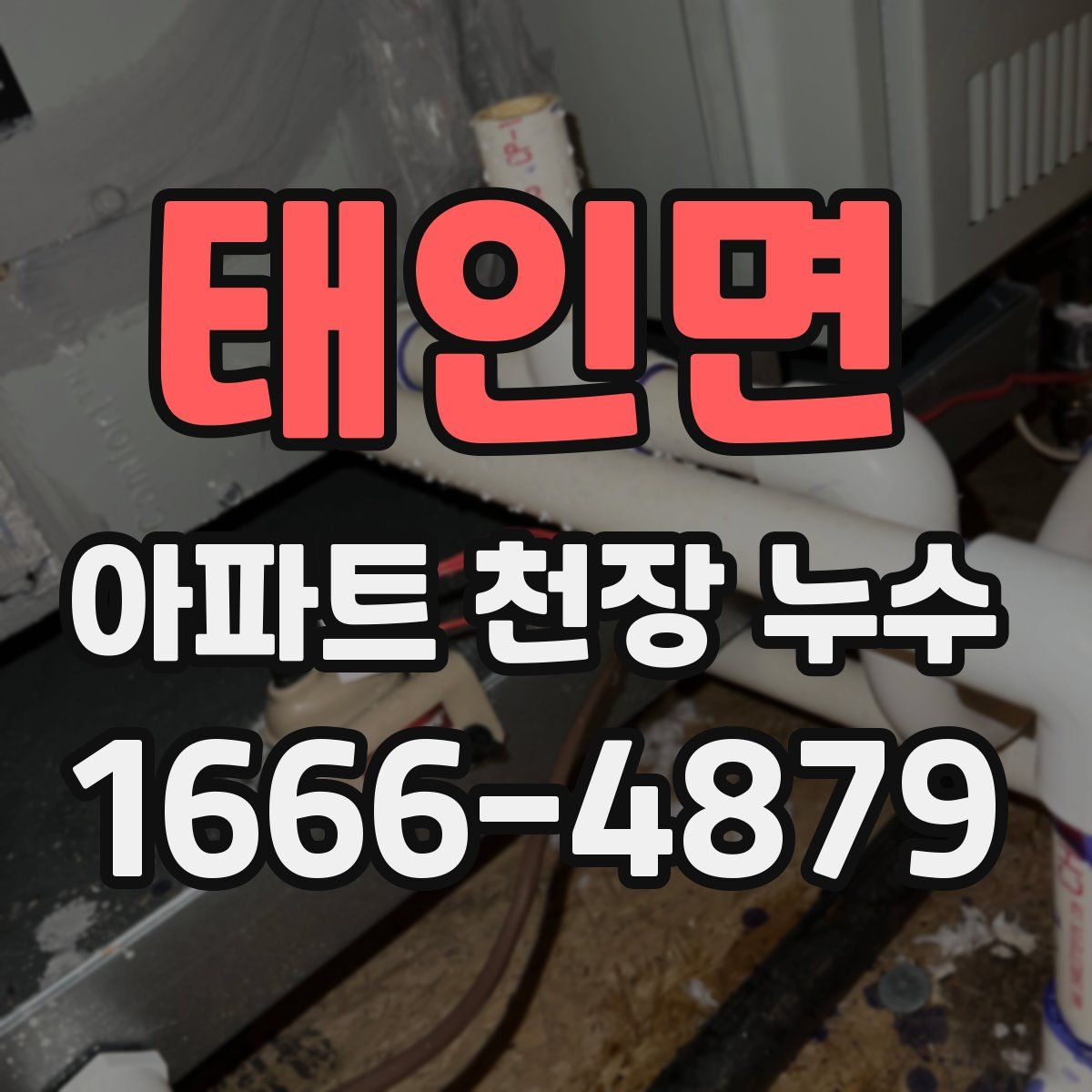 태인면 아파트 천장 누수