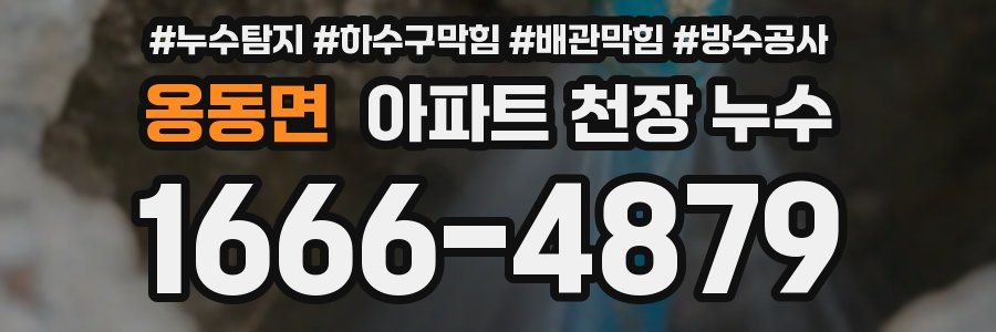 옹동면 아파트 천장 누수
